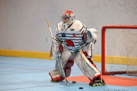 Elite-Haw-GFal-w-19