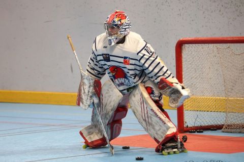 Elite-Haw-GFal-w-23