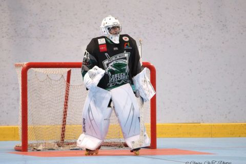 Elite-Haw-GFal-w-31