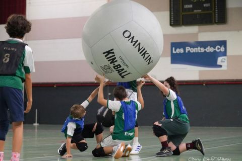CDF-KB26-Fin-U15-62