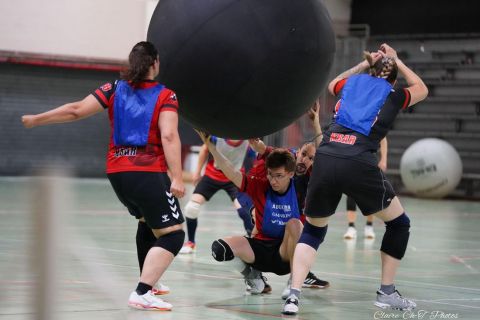 CDF-KB26-Mixt-44