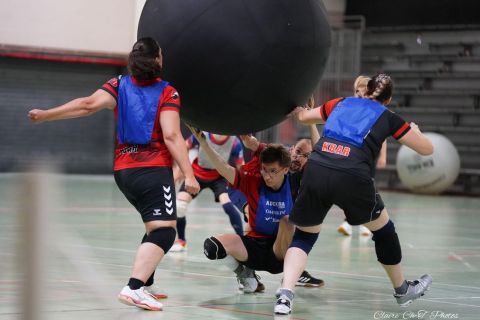 CDF-KB26-Mixt-45
