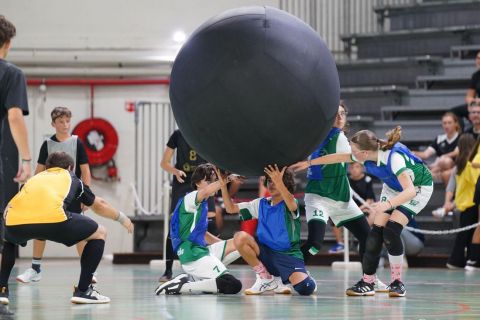 CDF-KB26-Qf-U15-16