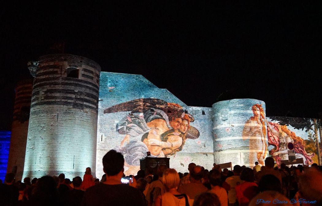 Balade du Roi René illuminations c (28)