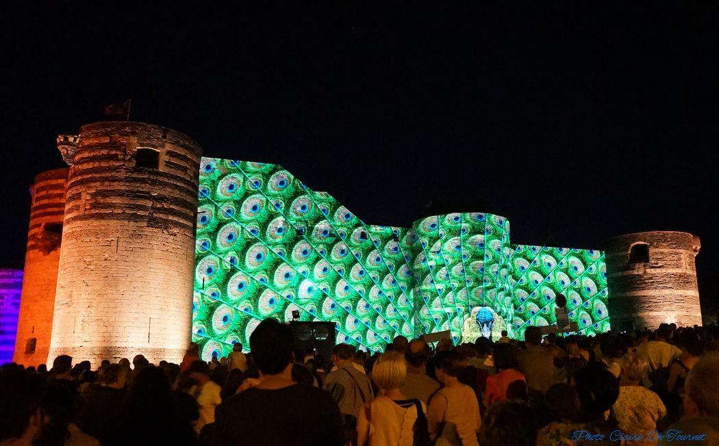 Balade du Roi René illuminations c (29)