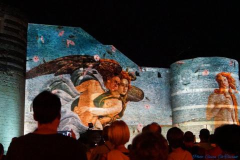 Balade du Roi René illuminations c (27)