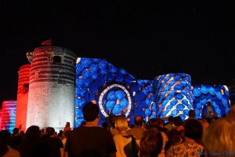 Balade du Roi René illuminations c (30)
