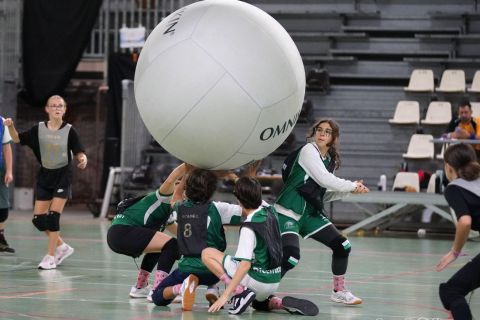CDF-KB26-Fin-U15-20