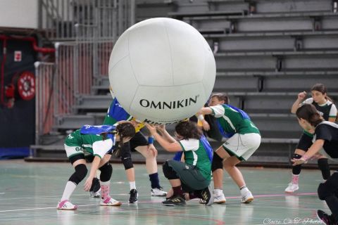 CDF-KB26-Fin-U15-6