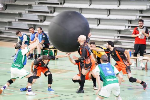 CDF-KB26-Qf-Hom-1