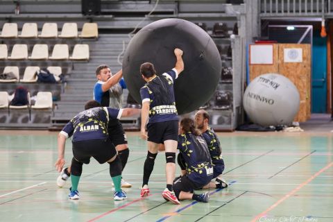 CDF-KB26-Qf-Hom-10