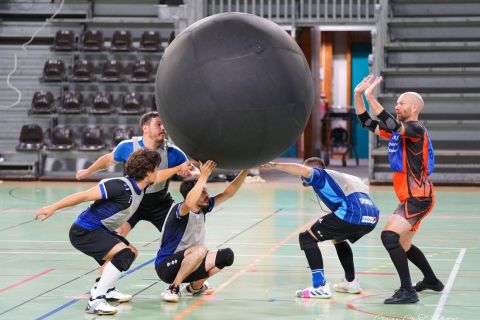 CDF-KB26-Qf-Hom-12