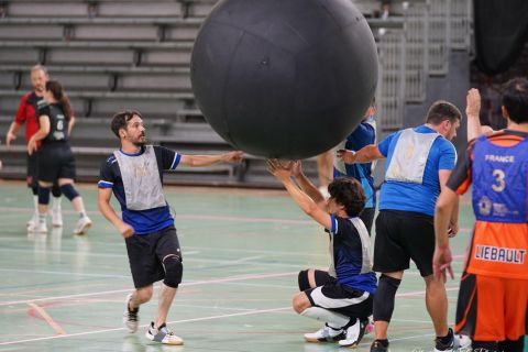 CDF-KB26-Qf-Hom-17