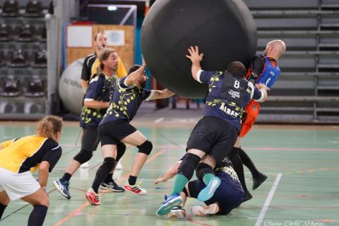 CDF-KB26-Qf-Hom-19