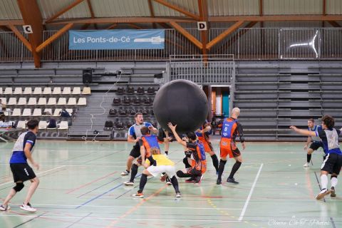 CDF-KB26-Qf-Hom-22