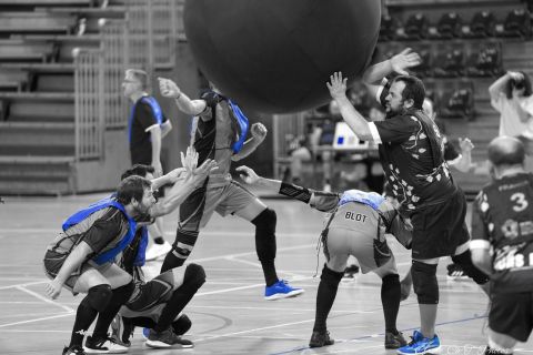 CDF-KB26-Qf-Hom-40