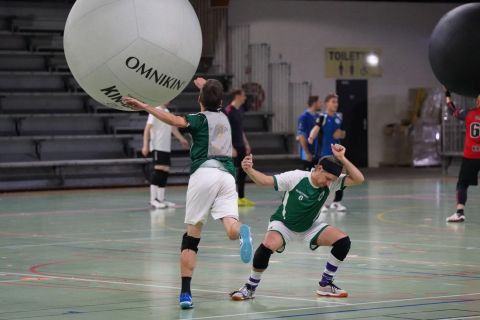 CDF-KB26-Qf-Hom-57