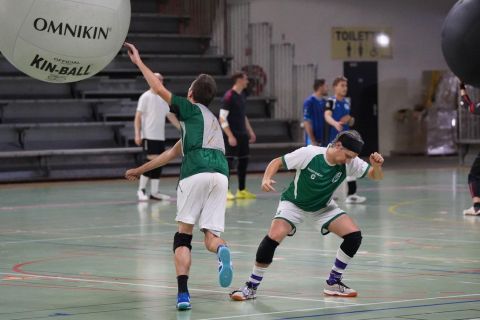 CDF-KB26-Qf-Hom-58