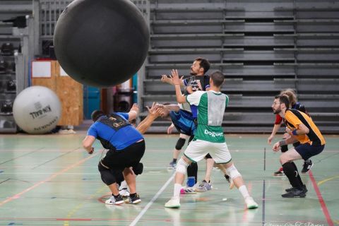 CDF-KB26-Qf-Hom-59