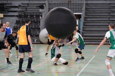 CDF-KB26-Qf-Hom-61