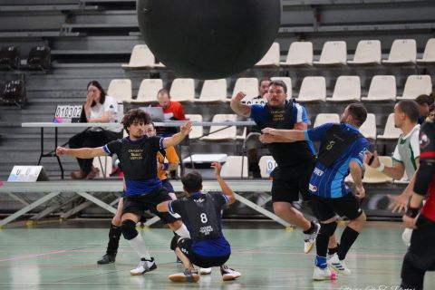 CDF-KB26-Qf-Hom-64