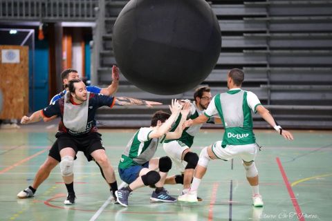 CDF-KB26-Qf-Hom-65
