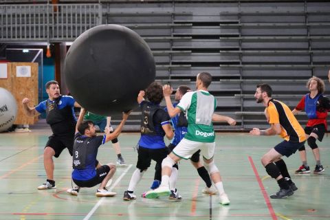 CDF-KB26-Qf-Hom-66