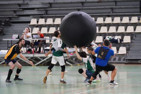 CDF-KB26-Qf-Hom-69