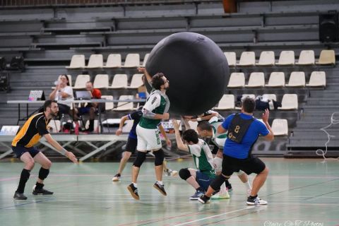 CDF-KB26-Qf-Hom-70