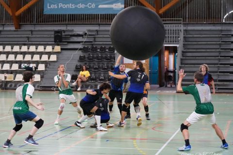 CDF-KB26-Qf-Hom-79