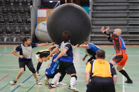 CDF-KB26-Qf-Hom-8