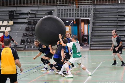 CDF-KB26-Qf-Hom-80
