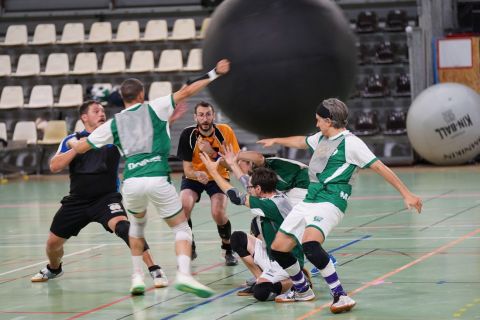 CDF-KB26-Qf-Hom-99