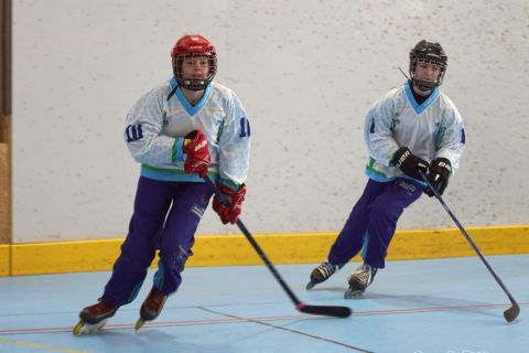 CDL-U17F-CVDL-N-31