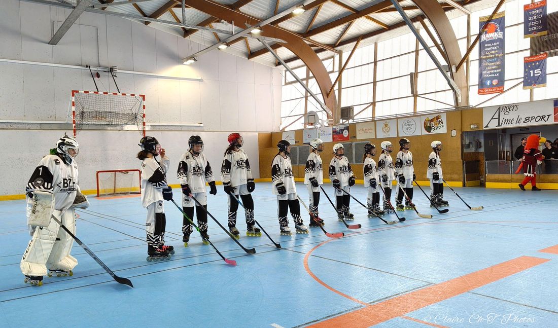 CDL-U17F-pea-1