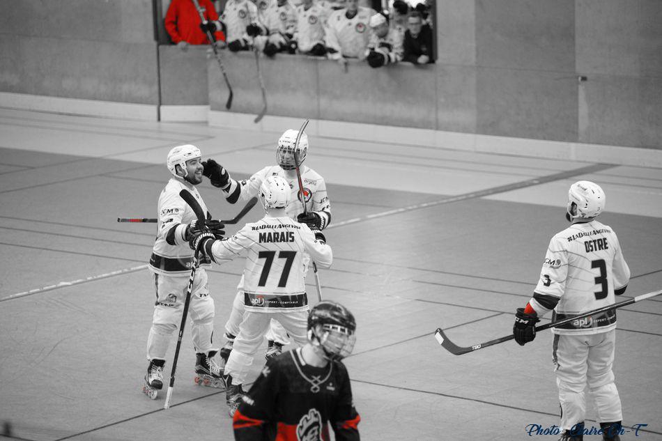 Angers Caen c (393)