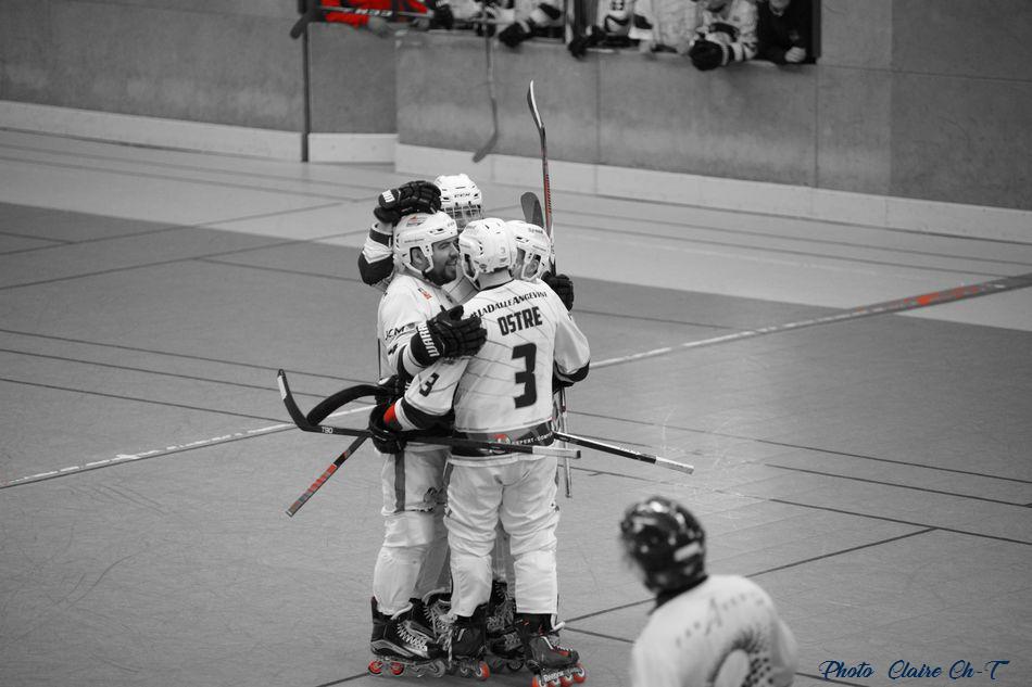 Angers Caen c (394)