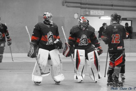 Angers Caen c (227)