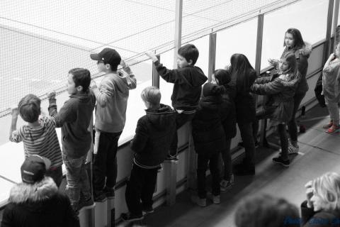 Angers Caen c (529)