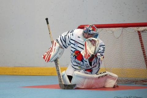Elite-Ang-Gre-53