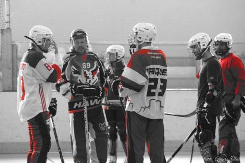 entr-hockey-c-101