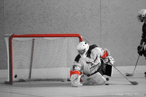 entr-hockey-c-28