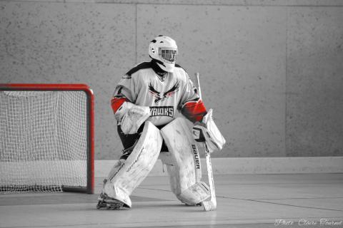 entr-hockey-c-41