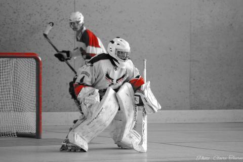 entr-hockey-c-42