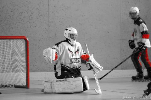 entr-hockey-c-43