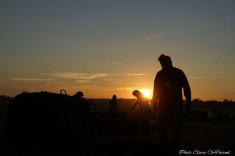 vols dim matin c  (11)