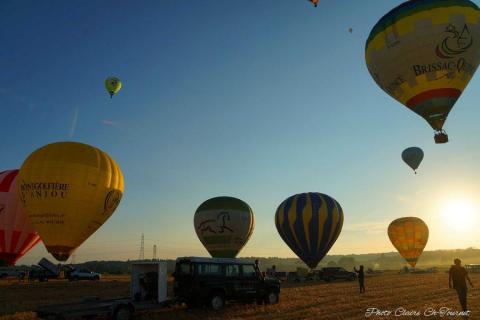 vols dim matin c  (113)