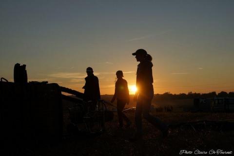 vols dim matin c  (14)