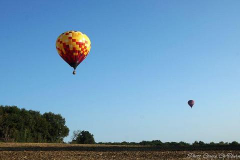 vols dim matin c  (179)