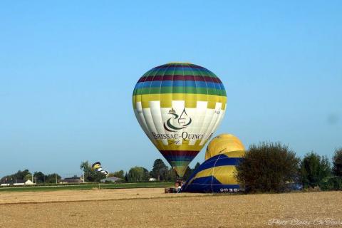 vols dim matin c  (219)